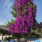 Club Antiphellos Kaş