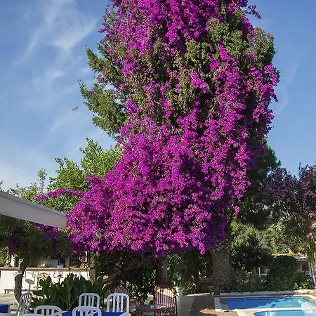 Club Antiphellos קס