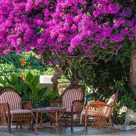 فندق Club Antiphellos