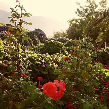 Hotel Club Antiphellos 3*