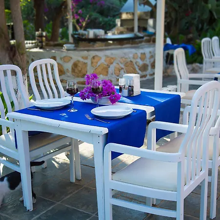 Hotel Club Antiphellos