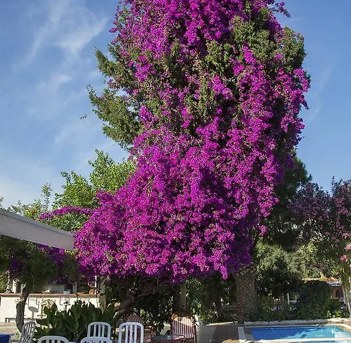 Club Antiphellos Kaş
